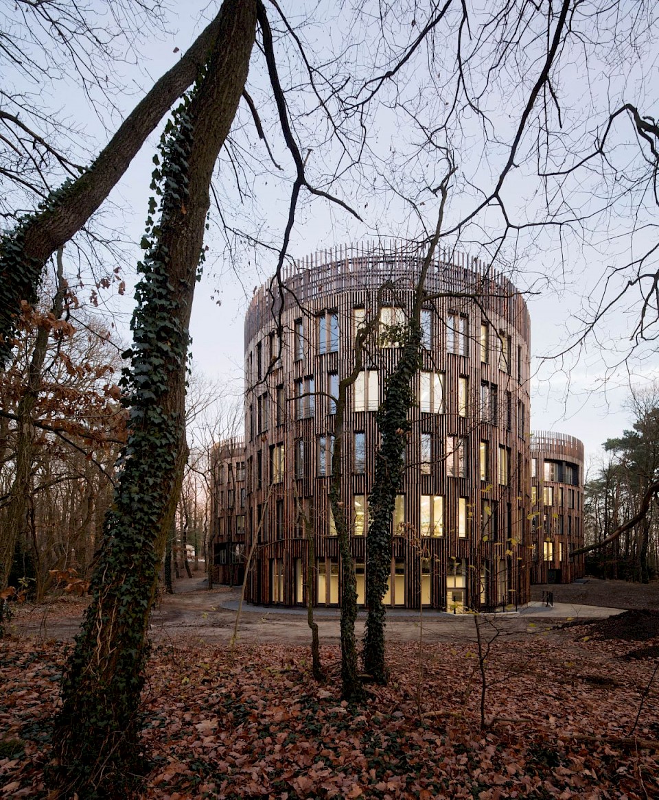 Potsdam Institut für Klimafolgenforschung BHBVT Gesellschaft von Architekten Berlin Holz Lattung Lärche Foto Werner Huthmacher